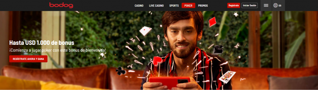 bodog argentina